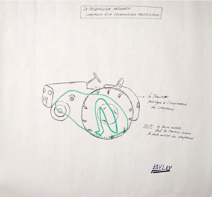 <strong>Le crapaud</strong><br/>   marker & graphite on paper / 45x49cm / 2008 